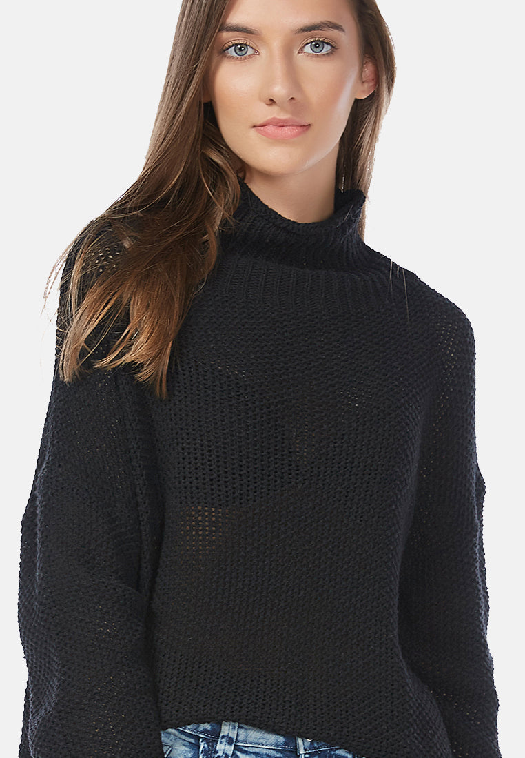 turtle neck knitted pullover#color_black