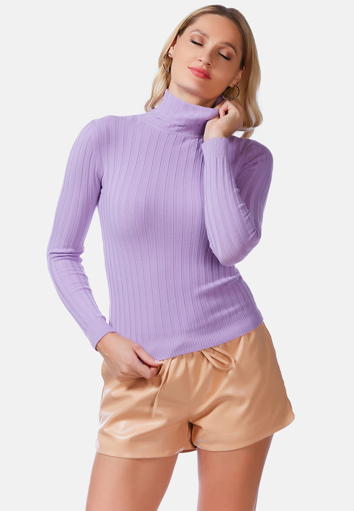 full sleeve rib knit turtle neck top#color_deep-lavender