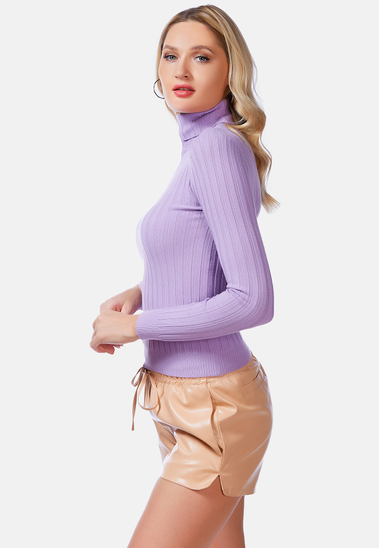full sleeve rib knit turtle neck top#color_deep-lavender