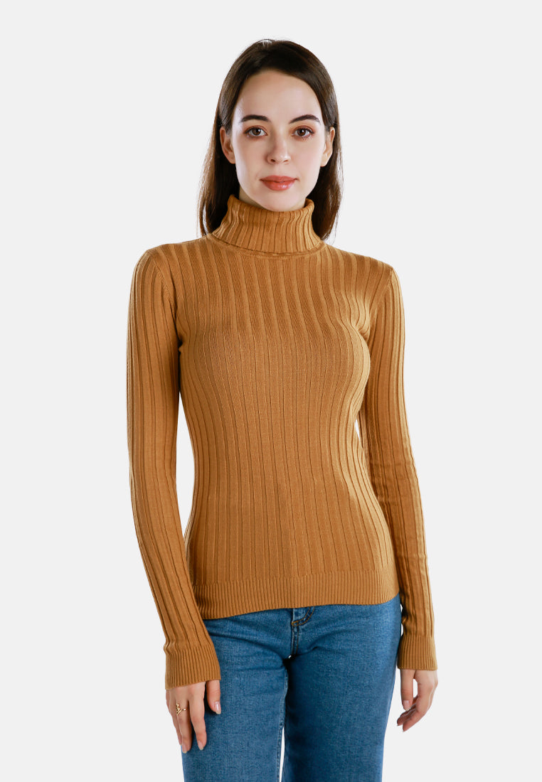 Turtleneck Sweater Top